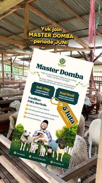 Titip Perawatan Ternak Domba